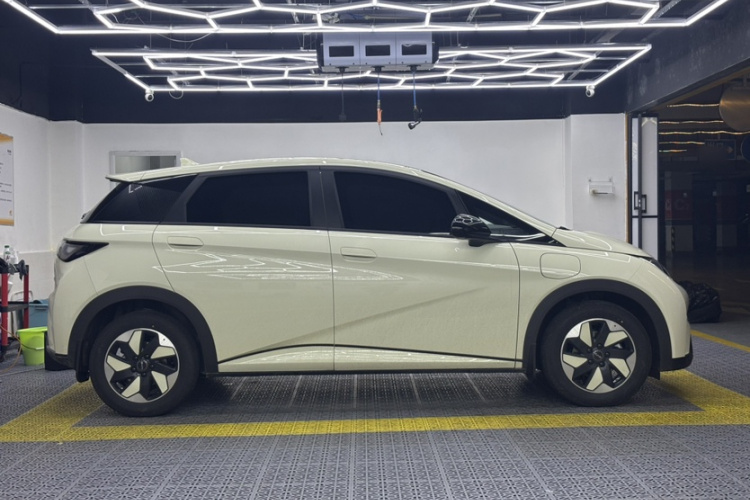 比亚迪 海豚 2025款 420km 自由版车身外观6008