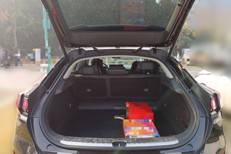 极氪001 2022款 超长续航单电机 WE版中控内饰23