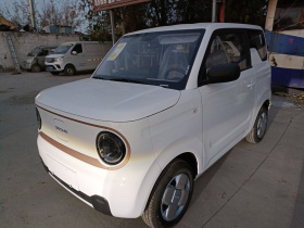 吉利银河 2024款 熊猫mini 200km 耐力熊