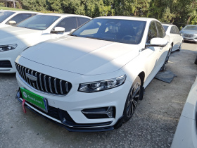 吉利汽车 星瑞 2025款 东方曜 2.0TD 望月版