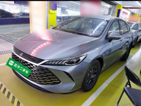 比亚迪 秦PLUS 2025款 DM-i 智驾版 55KM领先型