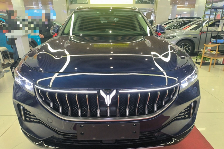 岚图汽车 岚图FREE 2021款 四驱标准增程专属豪华套装车身外观6001