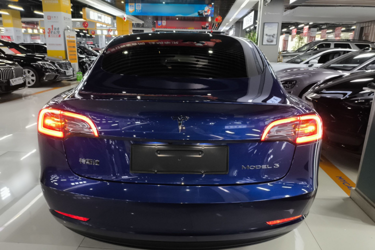 特斯拉 Model 3 2020款 改款 标准续航后驱升级版车身外观6005