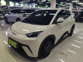 比亚迪 海鸥 2024款 荣耀版 305km 活力版