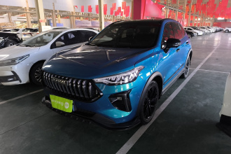 哈弗赤兔 2021款 激擎版 1.5T 铂金兔