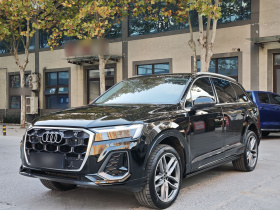 奥迪Q7 2024款 45 TFSI quattro S line运动型