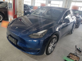 特斯拉 Model Y 2021款 标准续航后驱版