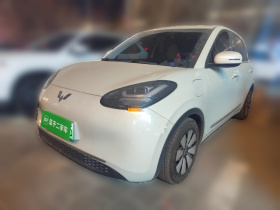 五菱汽车 五菱缤果 2023款 333km 灵犀互联+款