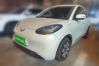 五菱汽车 五菱缤果 2023款 333km 灵犀互联+款