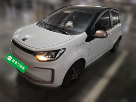 思皓 2022款 花仙子款 四叶草