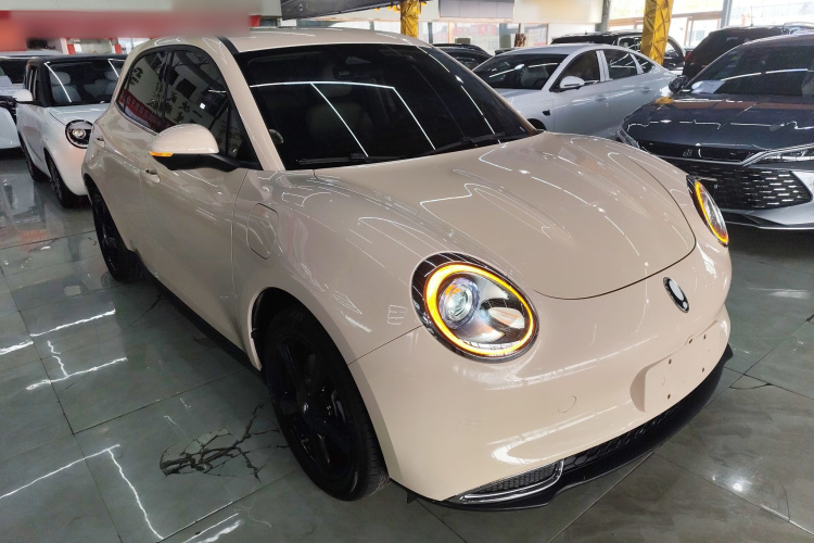 欧拉好猫 2024款 401km 豪华型车身外观3