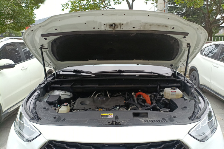 丰田 皇冠陆放 2021款 2.5L HEV四驱尊贵版机舱底盘24