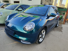 欧拉好猫 2023款 401km标准续航 豪华型 磷酸铁锂