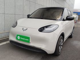 五菱汽车 五菱缤果 2023款 333km 灵犀互联+款