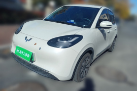 五菱汽车 五菱缤果 2023款 203km 舒享款