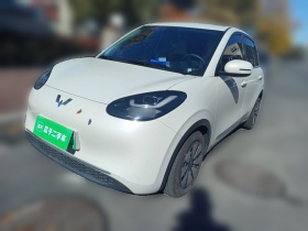 五菱汽车 五菱缤果 2023款 203km 舒享款