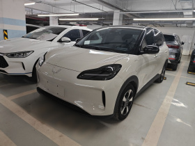 五菱汽车 五菱缤果PLUS 2024款 330km 五座版