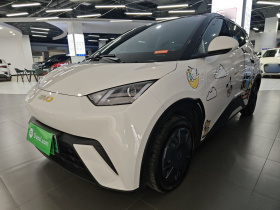 比亚迪 海鸥 2025款 305km 活力版