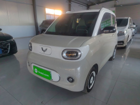 五菱汽车 宏光MINIEV 2024款 第三代 170km