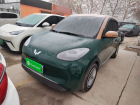 五菱汽车 五菱缤果 2024款 333km 悦享款