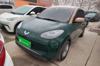 五菱汽车 五菱缤果 2024款 333km 悦享款