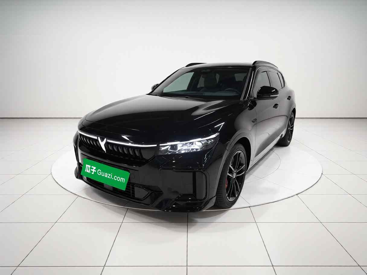 岚图汽车 岚图FREE 2025款 318 259km 四驱探索版(2)