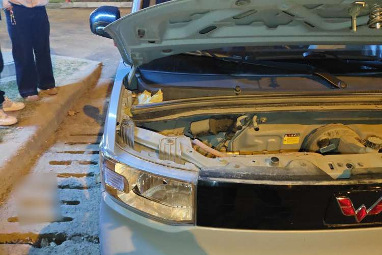 五菱汽车 宏光MINIEV 2020款 自在款 三元锂局部细节9006