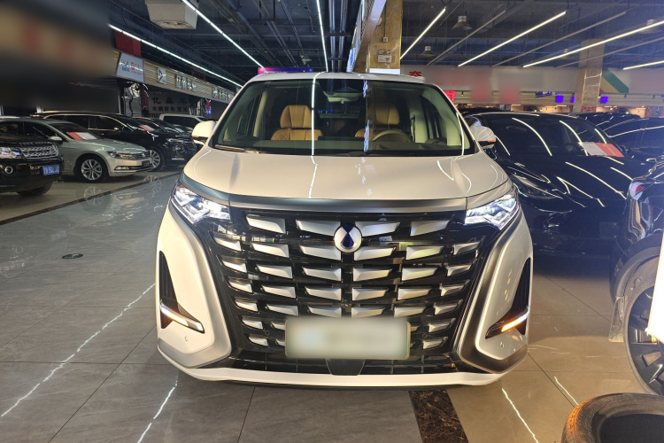 腾势D9 2022款 DM-i 970 四驱尊荣型车身外观6001