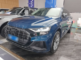 奥迪Q8 2021款 55 TFSI 豪华动感型