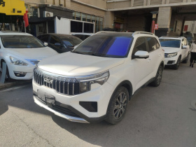 起亚 智跑 2021款 Ace 2.0L 精彩版