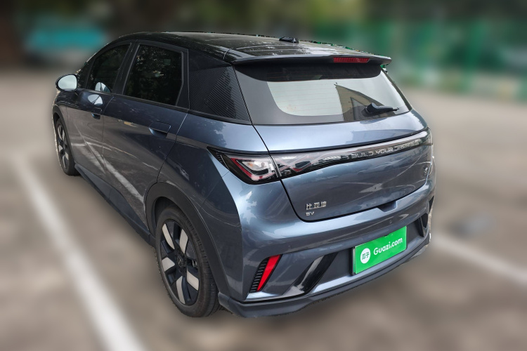 比亚迪 海豚 2023款 401km 骑士版车身外观6003