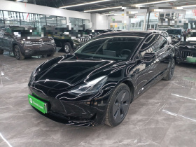 特斯拉 Model 3 2021款 标准续航后驱升级版 3D6