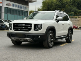 哈弗大狗 2021款 2.0T DCT四驱中华田园犬版