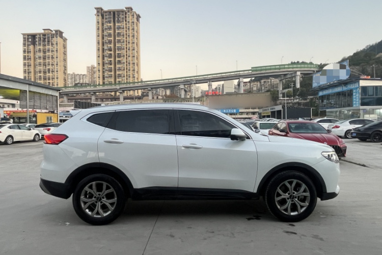 哈弗H6 2021款 国潮版 2.0GDIT 自动冠军版车身外观6001