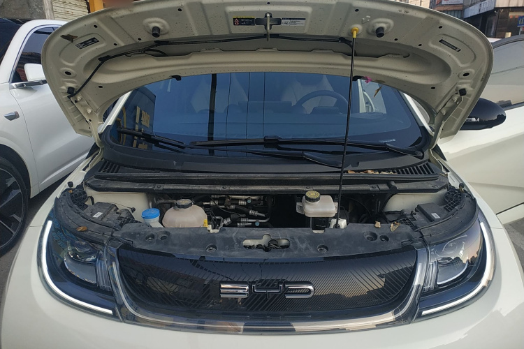 比亚迪 海豚 2023款 420km 自由版机舱底盘24