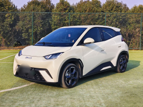 比亚迪 海鸥 2023款 飞翔版