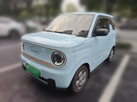 吉利银河 2023款 熊猫mini 200km 耐力熊