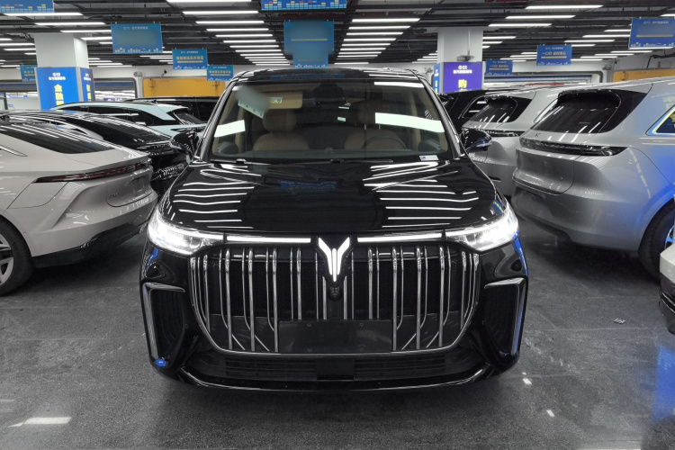 岚图汽车 岚图梦想家 2024款 PHEV 超长续航卓越版车身外观6001