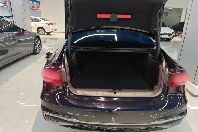 奥迪A7L 2024款 45 TFSI quattro 黑武士版局部细节23