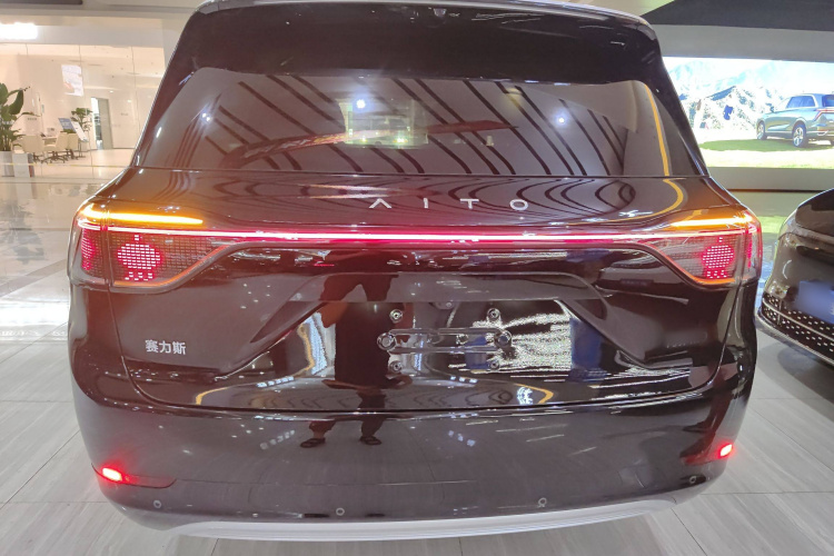 鸿蒙智行 问界M9 2024款 增程 Max版 42kWh 5座版车身外观6