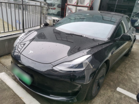 特斯拉 Model 3 2021款 标准续航后驱升级版