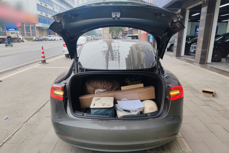 特斯拉 Model 3 2021款 标准续航后驱升级版 3D6局部细节23