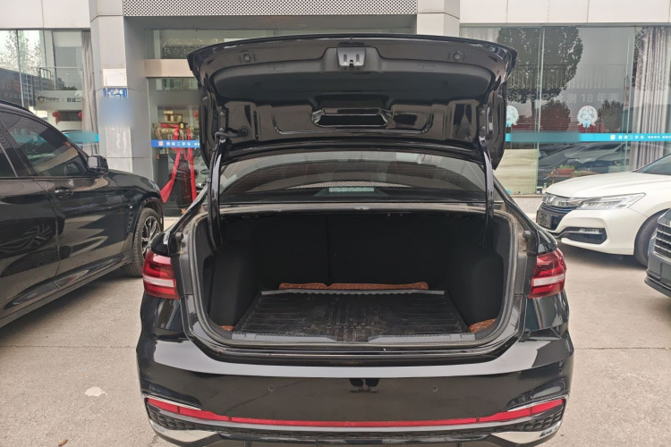 大众 朗逸 2024款 1.5L 自动星空五百万版局部细节23