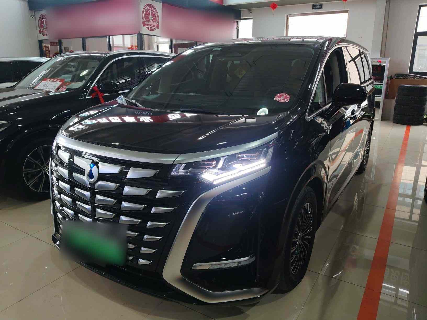 腾势D9 2024款 DM-i 980 四驱尊贵型(2)