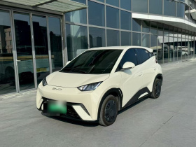 比亚迪 海鸥 2025款 305km 活力版