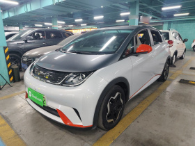 比亚迪 海豚 2021款 405km 自由版