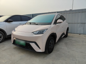 比亚迪 海鸥 2025款 305km 活力版