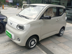 五菱汽车 宏光MINIEV 2024款 第三代 215km 青春版