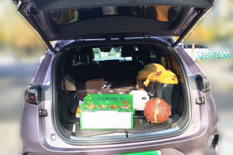 腾势X 2020款 PHEV旗舰版中控内饰23