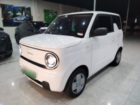 吉利银河 2024款 熊猫mini 200km 耐力熊